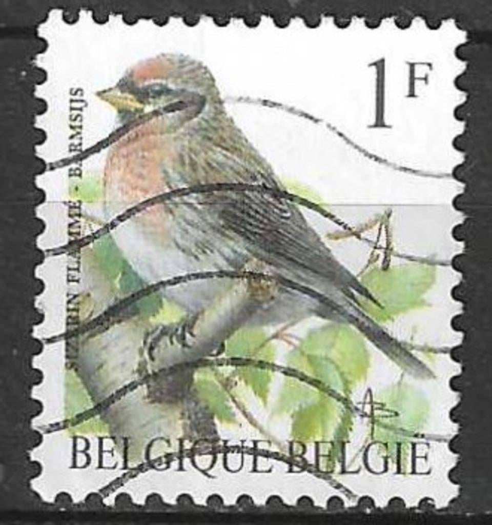 Belgie 1992 - Yvert/OBP 2457 - Buzin - Barmsijs - 1 F (ST), Verzenden, Gestempeld, Voertuigen