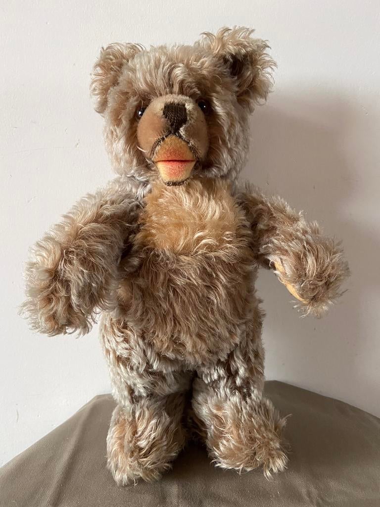 Steiff teddybeer Zotty, 6335, 35cm, Ophalen of Verzenden