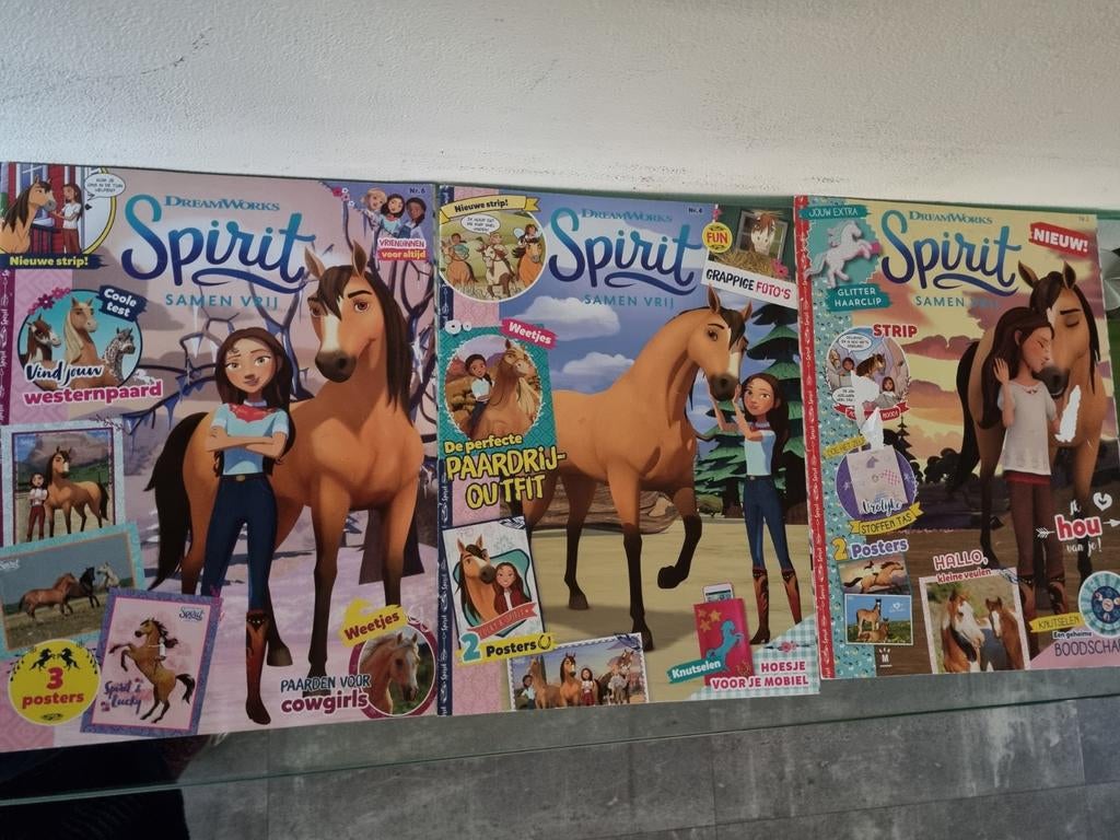 6x, PAARDEN MAGAZINES, 2xPENNY/4SPIRIT, Igst! a......., Boeken, Ophalen of Verzenden, Zo goed als nieuw