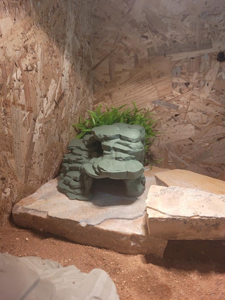 Groene Reptielen grot Green Tree Python - unknown for sale from LJK prints