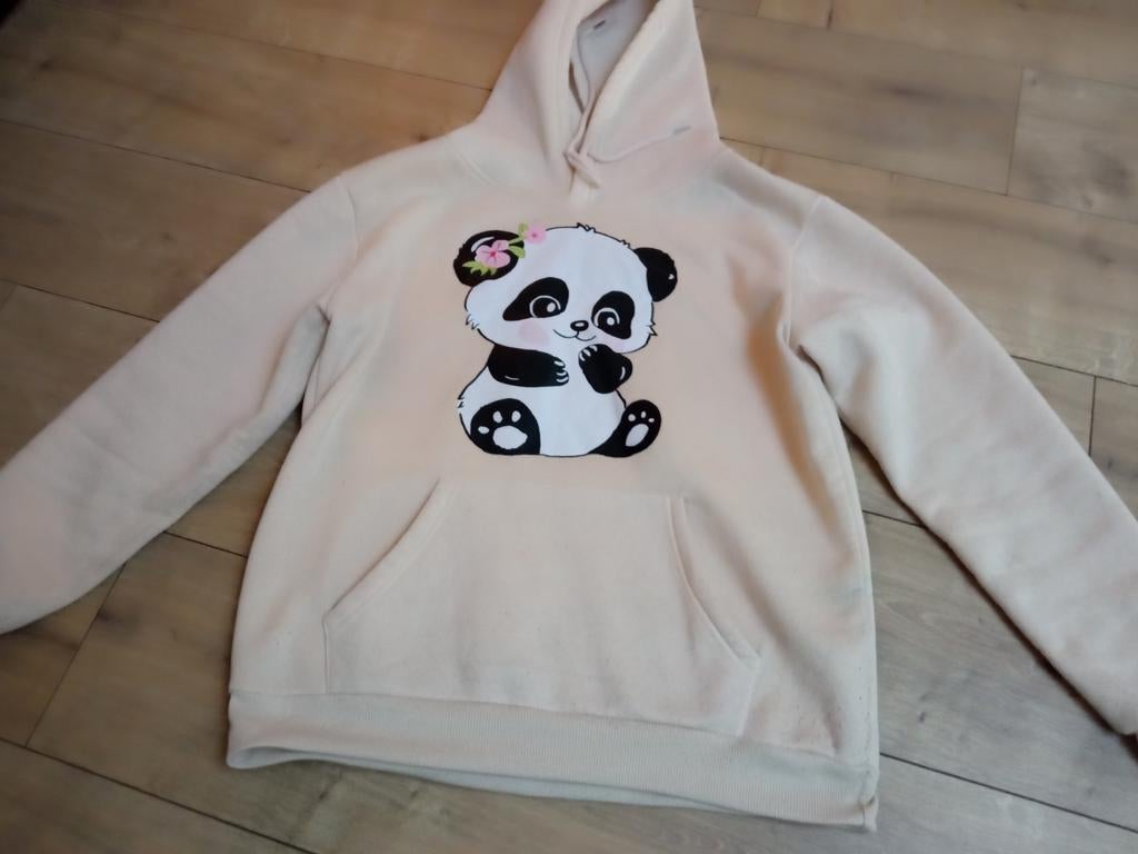 Sweater met capuchon, Ophalen of Verzenden