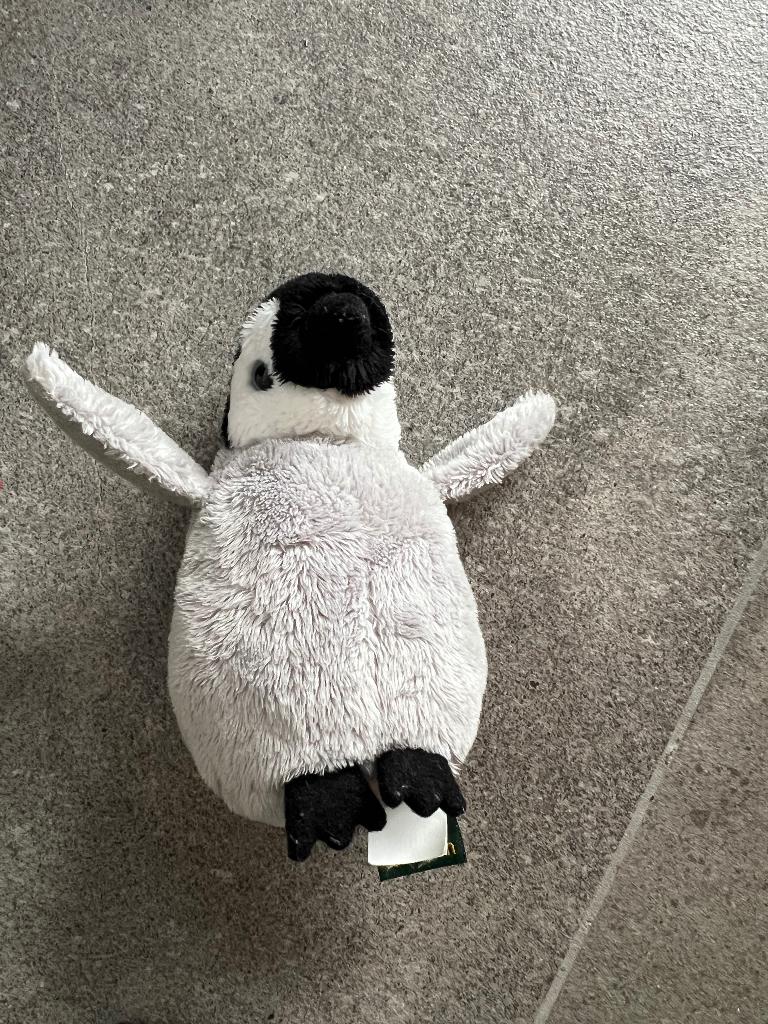 burgerzoo ravensden pinguïn knuffel special Edition, Kinderen en Baby's, Speelgoed | Knuffels en Pluche, Ophalen of Verzenden