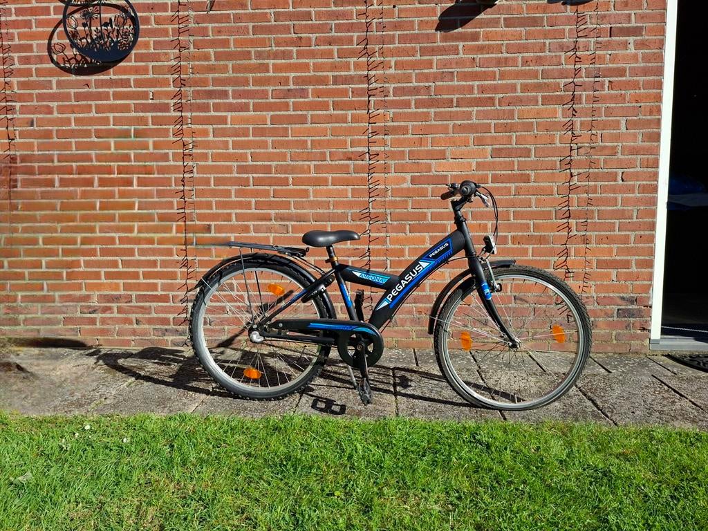 Kinderfiets blauw pegasus, Ophalen, Gebruikt, Staal, 20 tot 24 inch