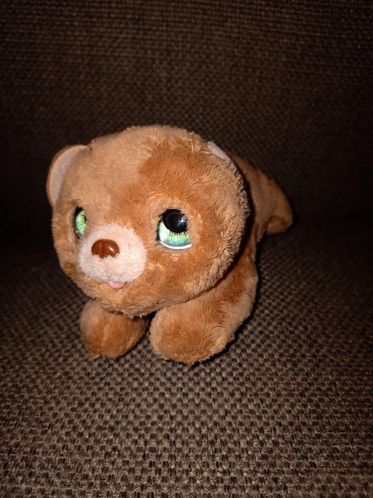 Fur real friends baby beer. Hasbro 2021., Ophalen of Verzenden, Zo goed als nieuw, Beer
