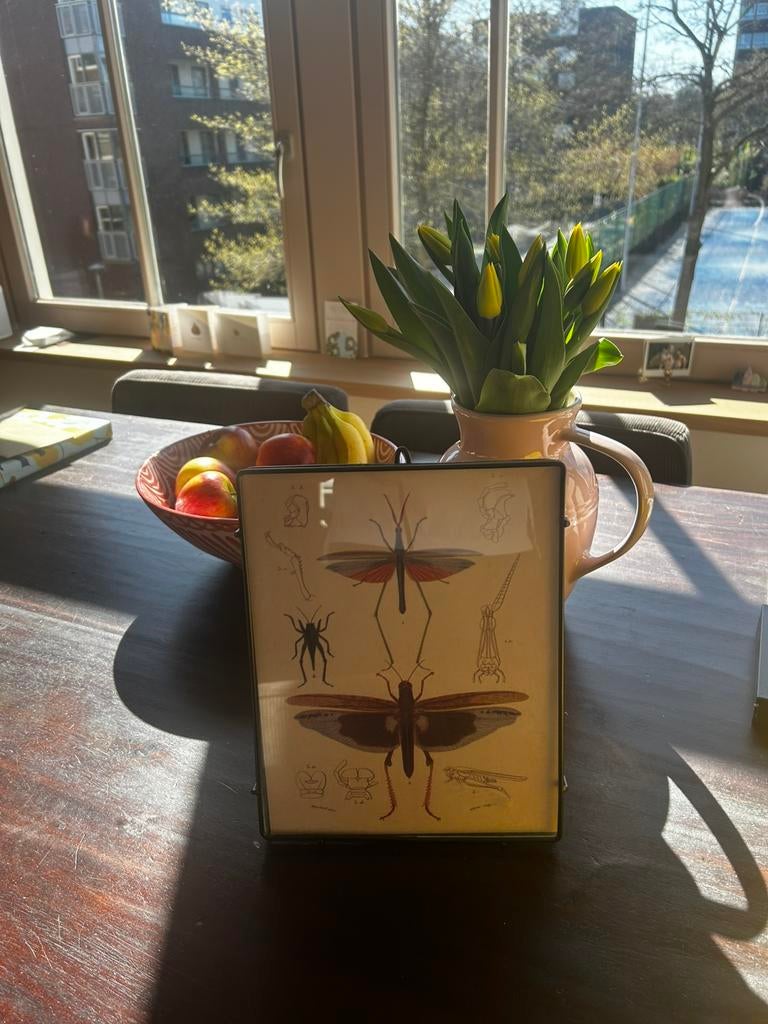 Zwart metalen fotolijst van Sissyboy, Huis en Inrichting, Ophalen of Verzenden, Zo goed als nieuw, 50 tot 100 cm, Minder dan 50 cm