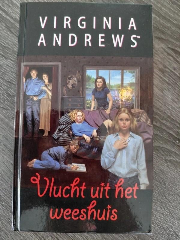Virginia Andrews - De Weeskinderen serie - Zeer goede staat, Boeken, Ophalen of Verzenden