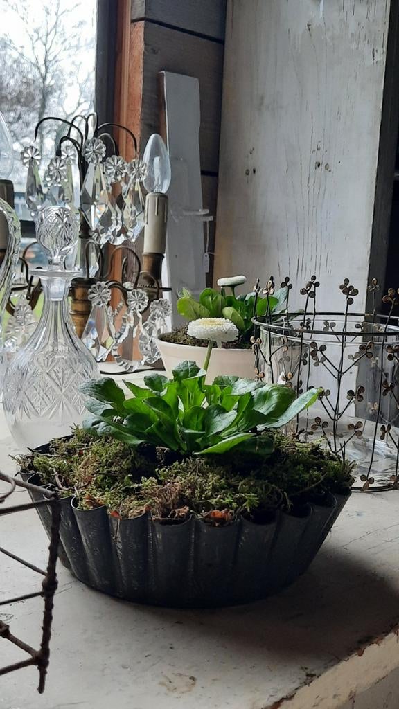 Bakvorm (nuzzelspul), Ophalen, Nieuw, Rond, Hout