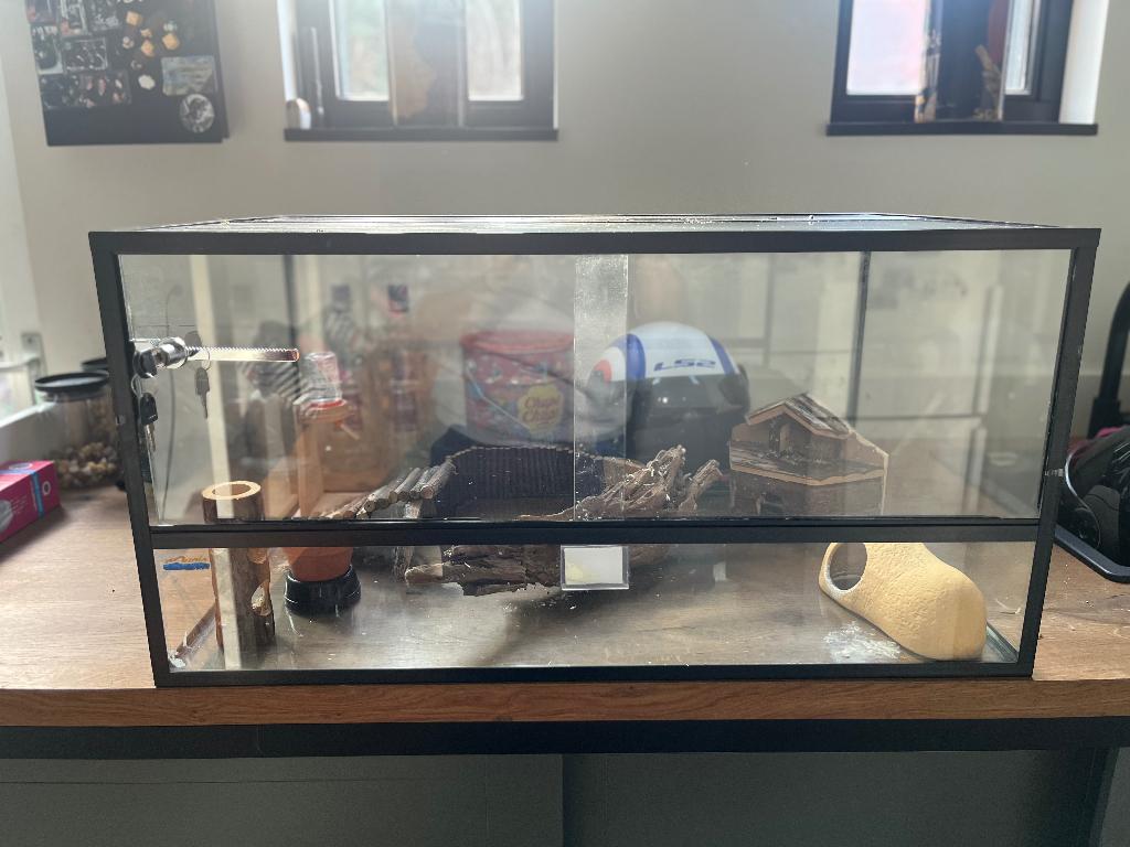 Terrarium 80x50x40cm  met veel hamster toebehoren, Kooi, Gebruikt, Minder dan 75 cm, Hamster