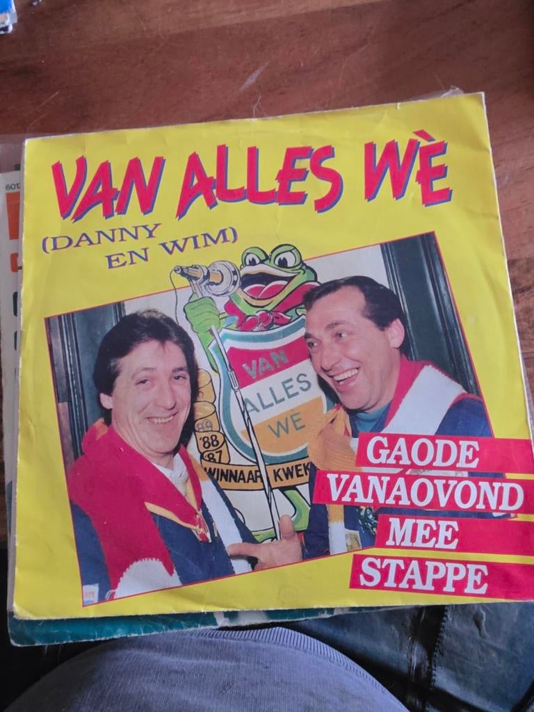 Danny en Wim - Van Alles We - Single Vinyl, Ophalen of Verzenden, Gebruikt, Overige formaten