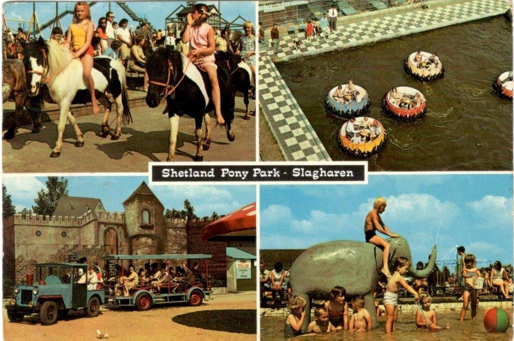 Slagharen o.a. shetland pony.  (paarden), Verzenden, 1960 tot 1980, Gelopen, Overijssel