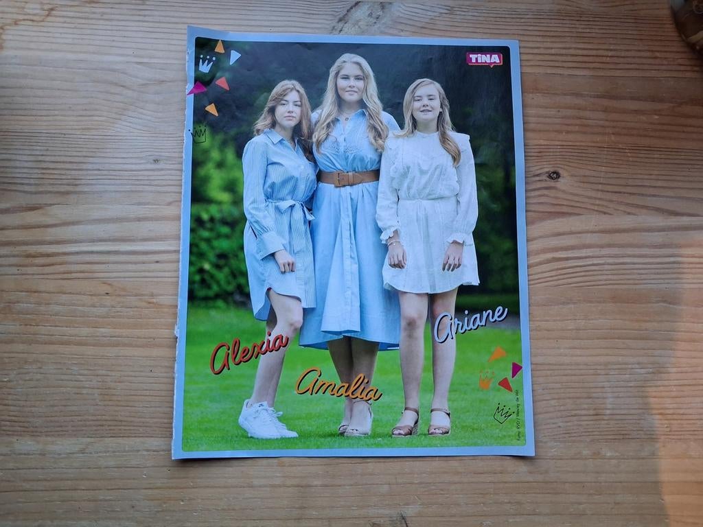 Poster prinsessen, Ophalen of Verzenden, Nieuw, A4 of kleiner
