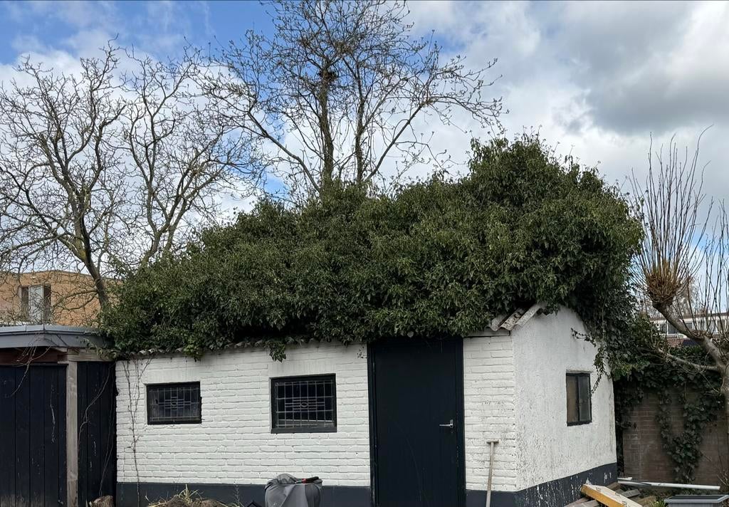 Gezocht iemand om de asbest platen te verwijderen, Asbestverwijdering, Sloopwerk buiten