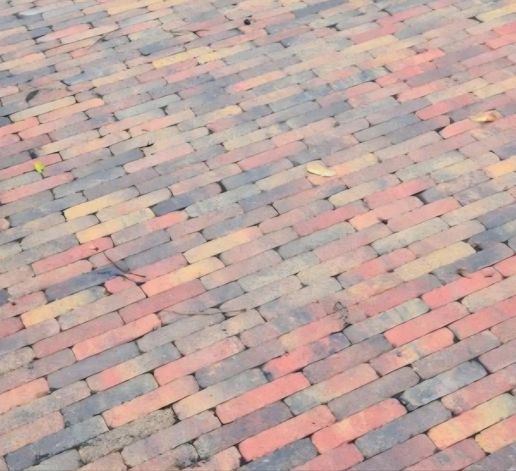 Gratis betonklinkers bont waalformaat +/- 60m2, Ophalen of Verzenden, Beton, Klinkers