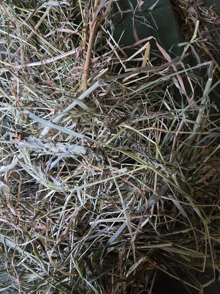 Kleine pakjes biologisch kruidenhooi, Ophalen, Vee