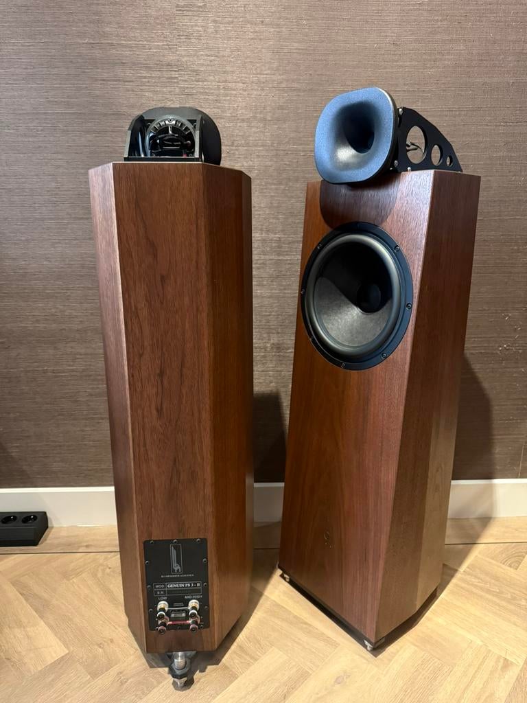 Blumenhofer fs3 mk2, Audio, Tv en Foto, Zo goed als nieuw, 120 watt of meer, Front, Rear of Stereo speakers, Ophalen