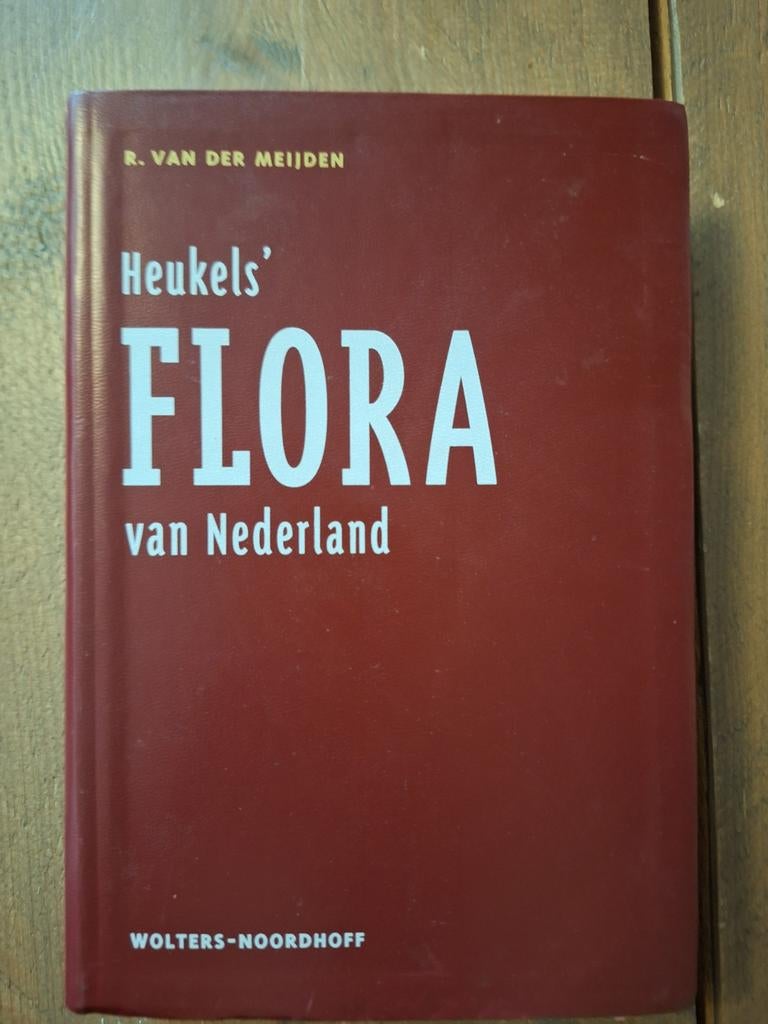 Heukels' Flora van Nederland - R. van der Meijden, Boeken, Ophalen of Verzenden