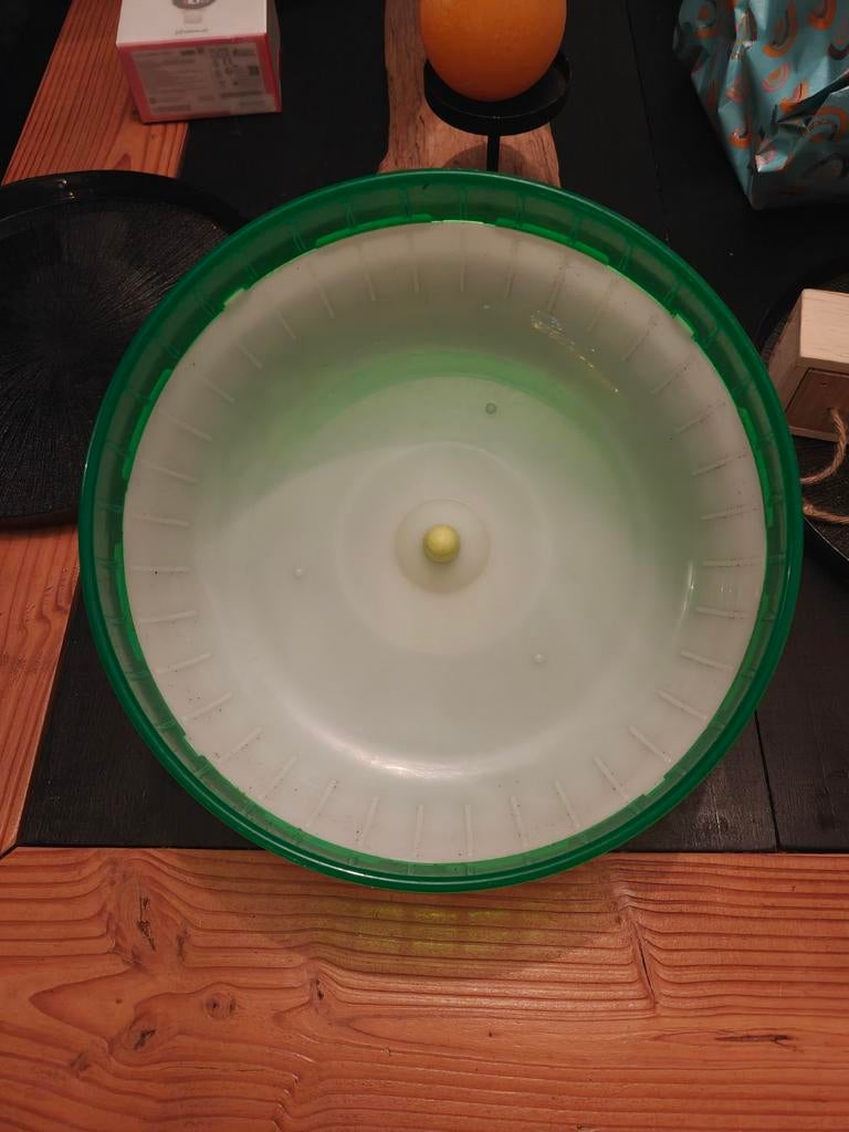 Groot loopwiel voor knaagdieren, Ophalen, Zo goed als nieuw, Loopwiel of Rad