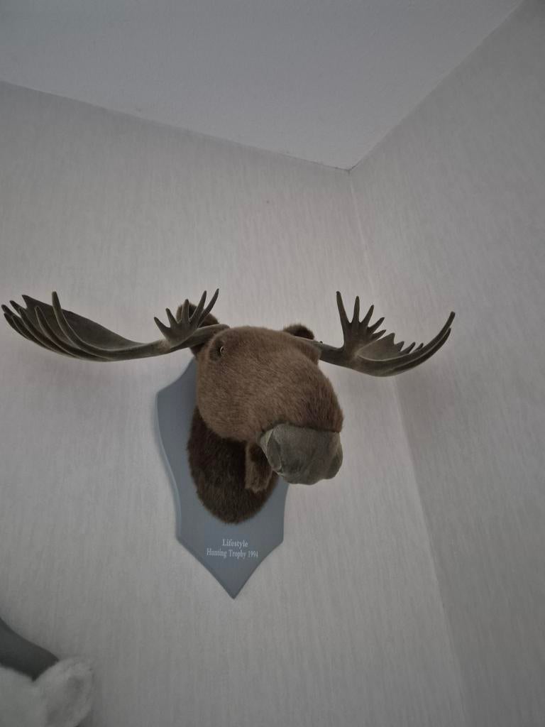 Luxe Dierenhoofden Wanddecoratie, Ophalen of Verzenden, Zo goed als nieuw