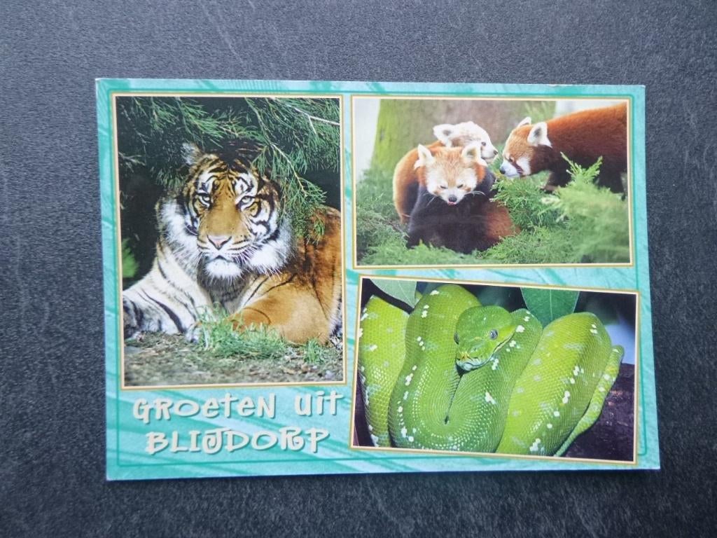 Rotterdam, Blijdorp, Verzenden, 1980 tot heden, Gelopen, Zuid-Holland