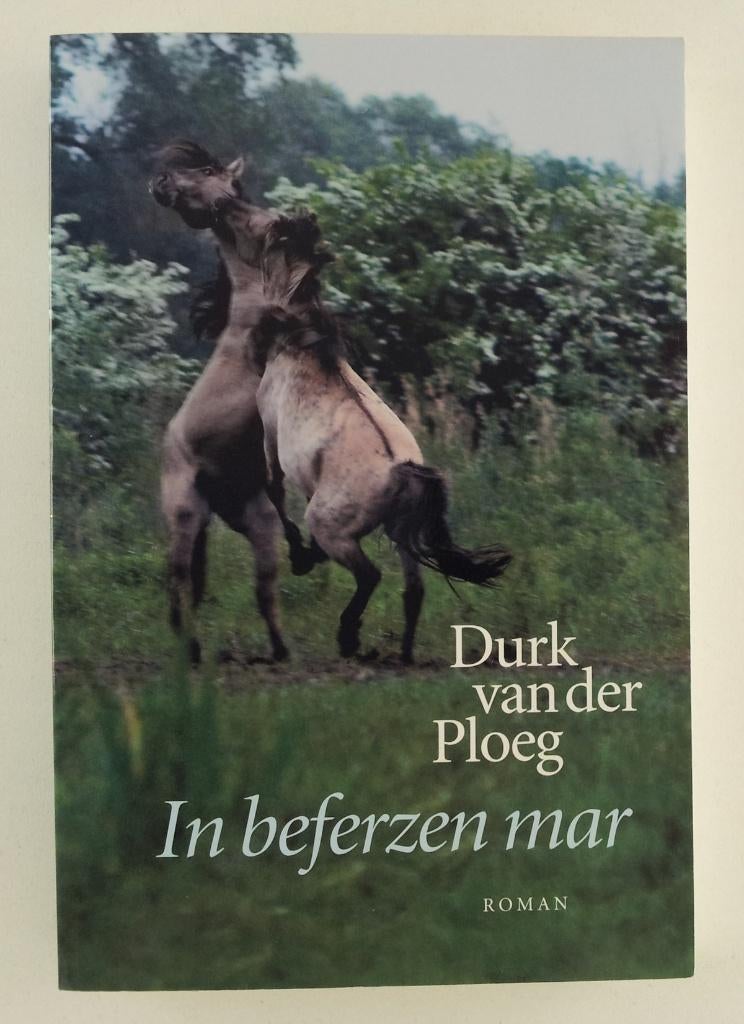 Ploeg, Durk van der - In beferzen mar / roman, Boeken, Ophalen of Verzenden, Gelezen