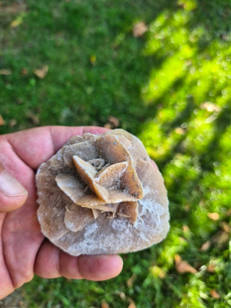 Woestijnroos, Ophalen of Verzenden, Mineraal