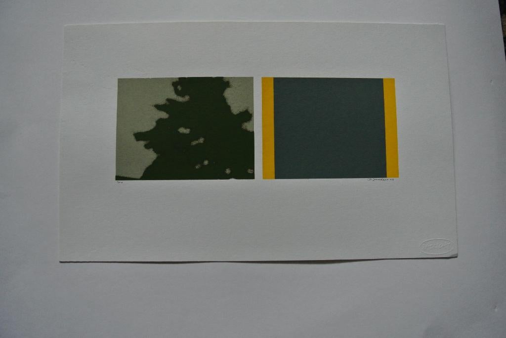 bert loerakker zeefdruk, kleine oplage, Antiek en Kunst, Verzenden