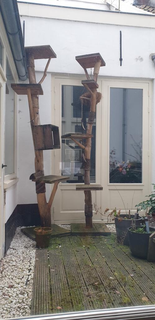 Mooie klimpalen voor katten, Ophalen