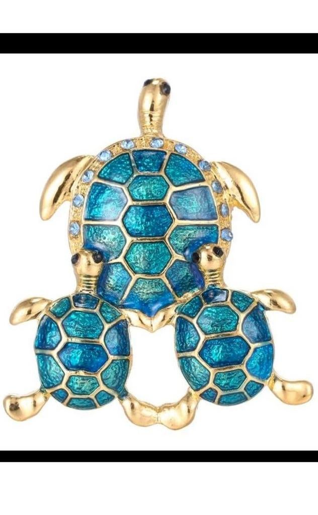 Groene schildpad, met lichte schild