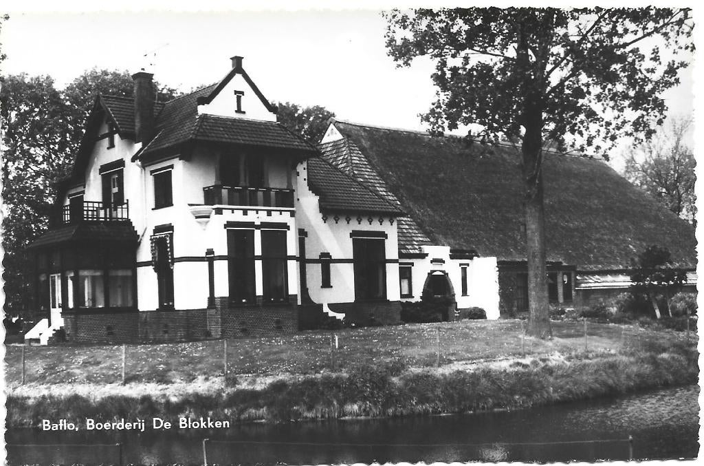 Baflo;  Boerderij De Blokken, Verzenden, 1960 tot 1980, Ongelopen, Groningen