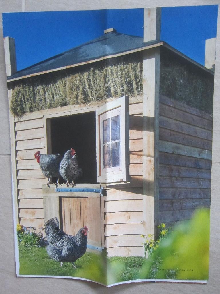 BOUWTEKENING Landelijk kippenhok voor de nacht hooiberg ren, Dieren en Toebehoren, Pluimvee, Geslacht onbekend, Overige soorten