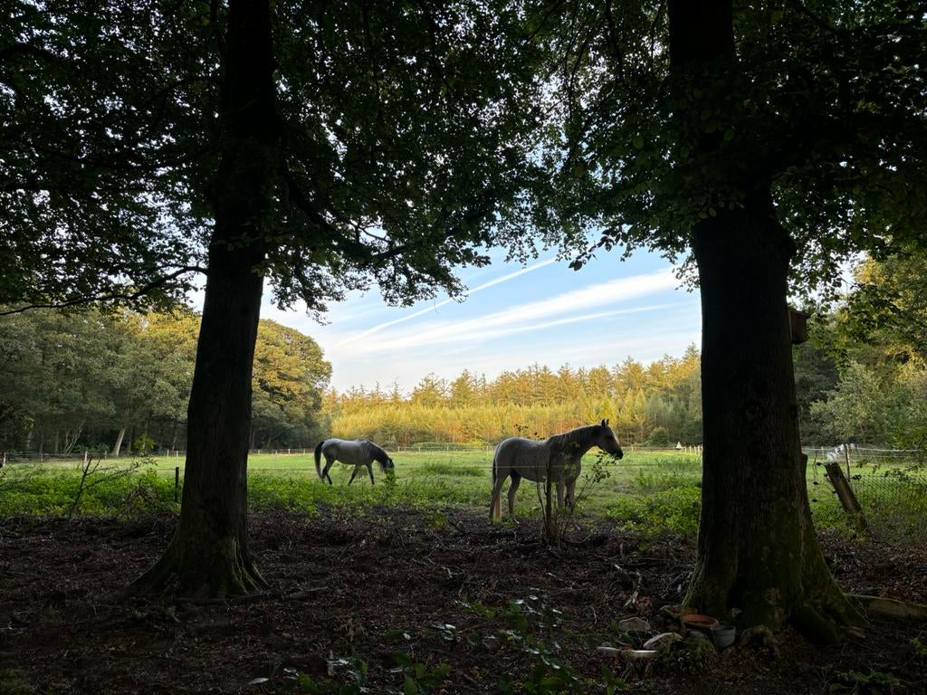 verzorgster, dieren/ natuurliefhebber