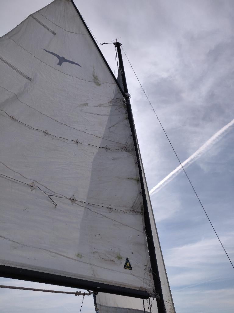 Zeilboot - Polyester valk, Ophalen, Gebruikt, 6 meter of meer, Valk