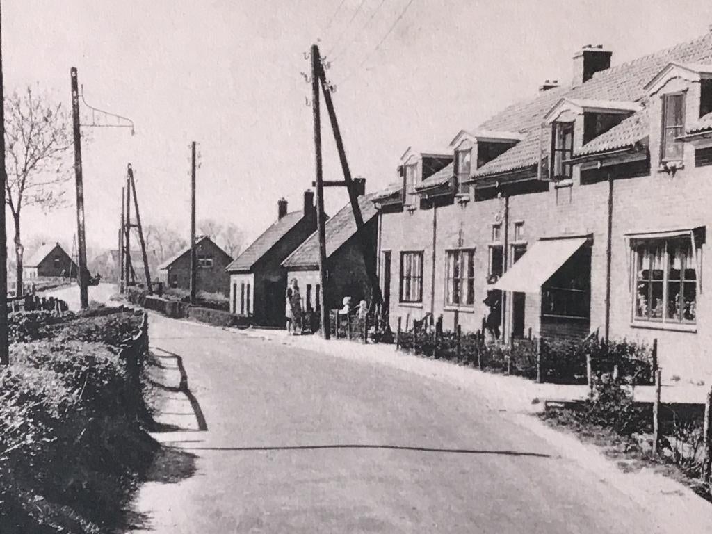 Rozenburg Boomendijk ca 1950, Verzamelen, Verzenden, 1940 tot 1960, Ongelopen, Zuid-Holland