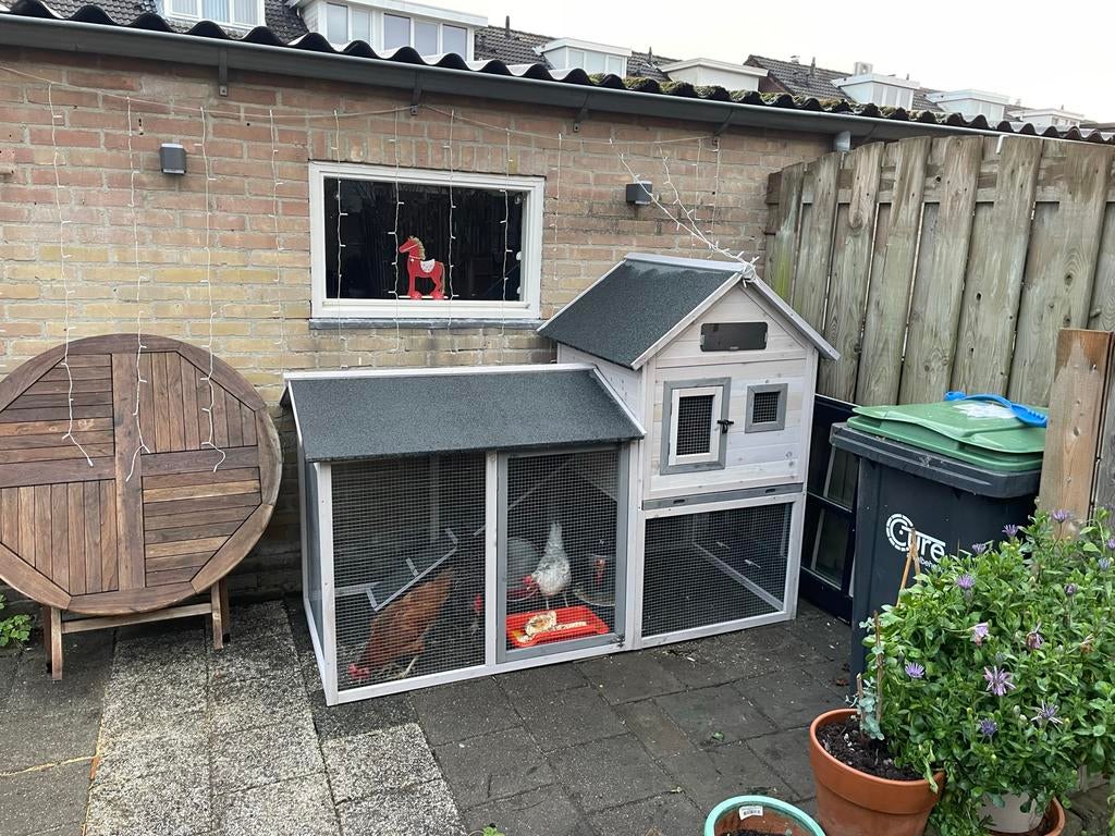 Kippen hok, Dieren en Toebehoren, Pluimvee | Toebehoren, Ophalen, Zo goed als nieuw, Kippenhok of Kippenren