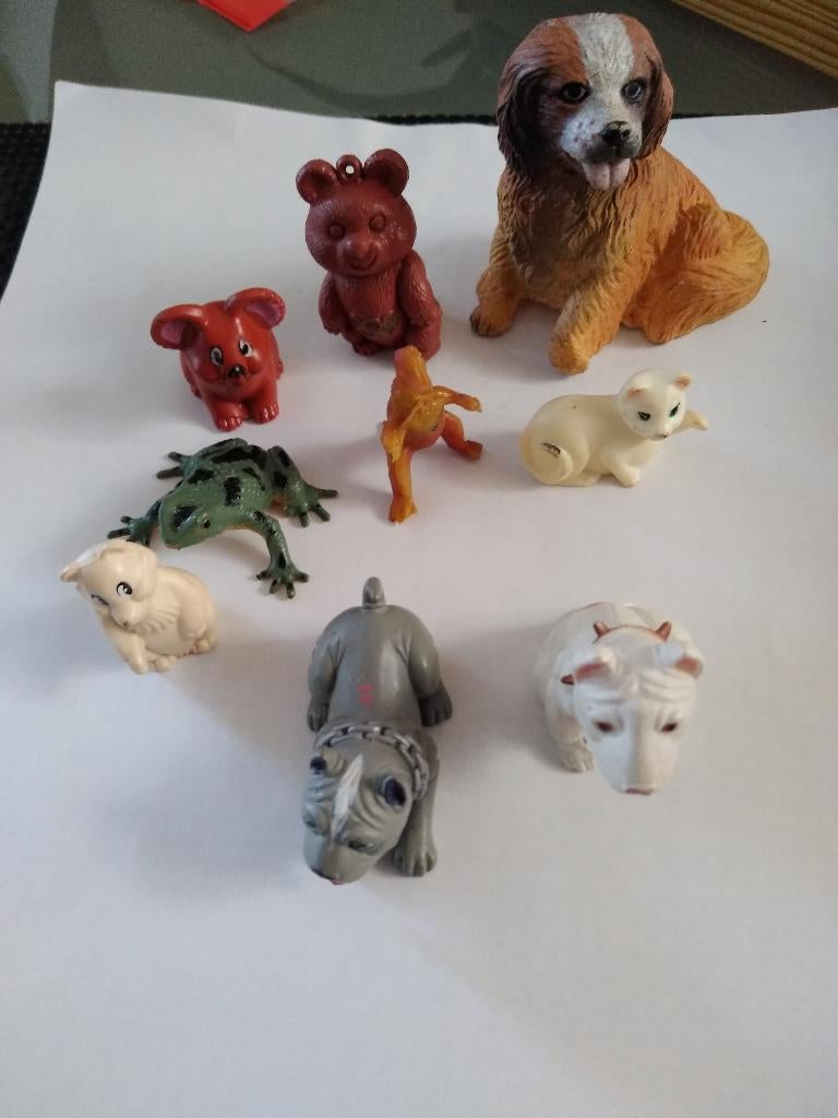 honden/ dieren, Ophalen of Verzenden, Gebruikt