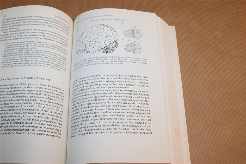 Popper & Eccles — Brein & Bewustzijn, Dik [EN], Boeken, Ophalen of Verzenden, Gelezen