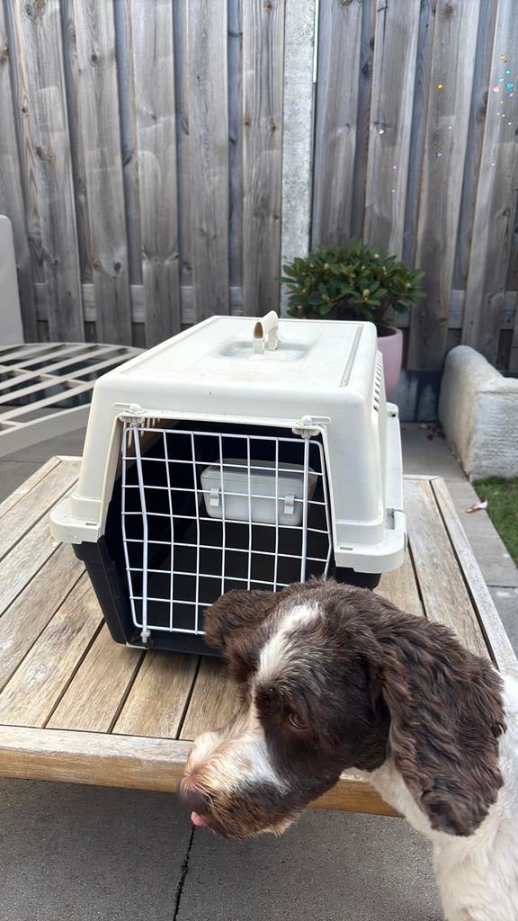 Ferplast Honden bench vervoersbox trabsportbox, Ophalen, Zo goed als nieuw, Minder dan 75 cm, Minder dan 65 cm