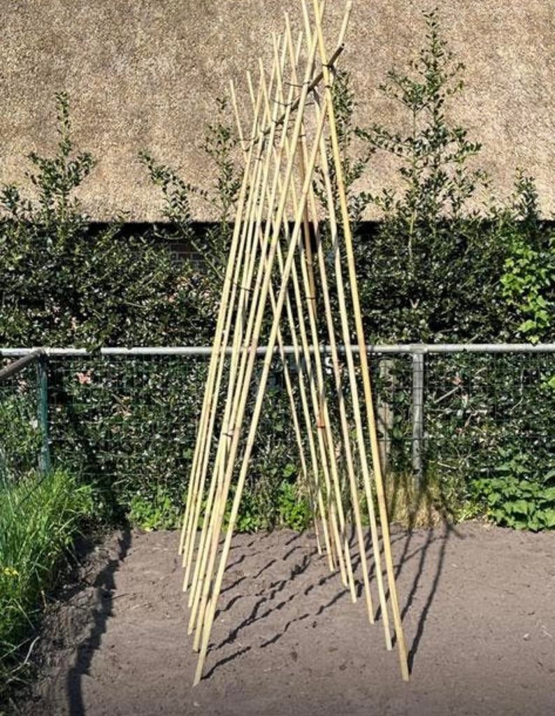 Bonenstokken bamboestok tonkin moes/groentetuin plantensteun, Ophalen of Verzenden, Nieuw, 250 cm of meer, Palen