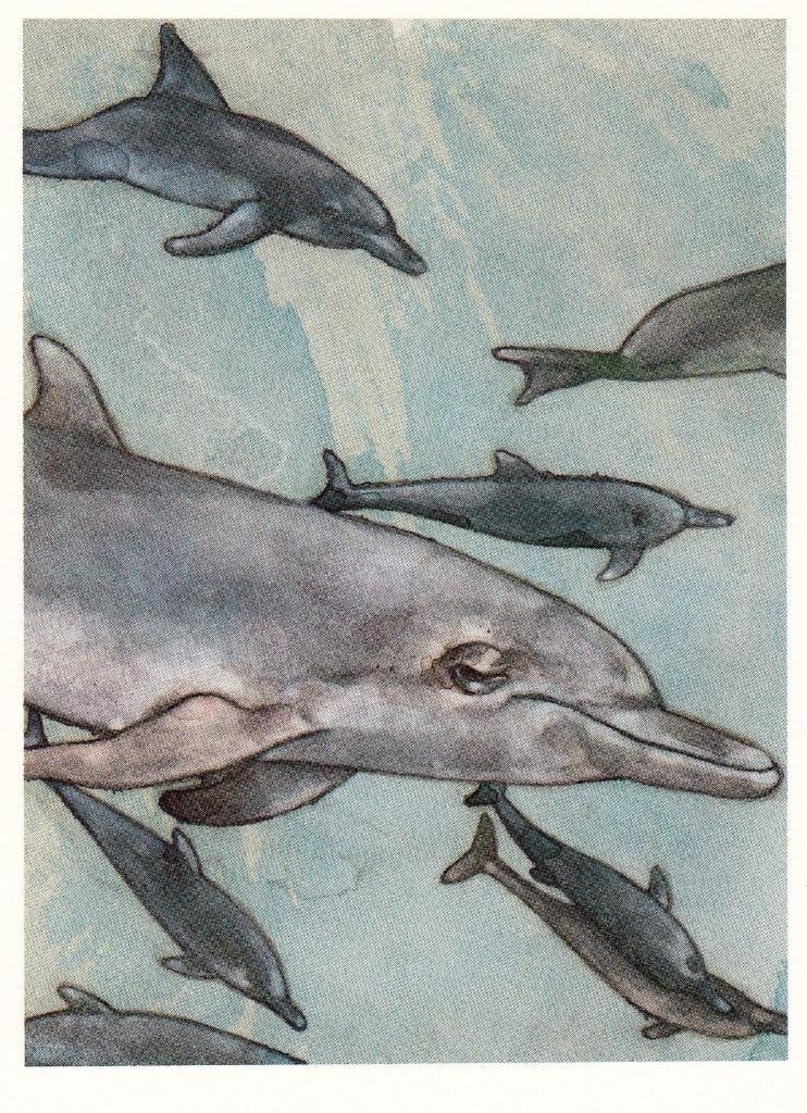 Bambaren, Sergio - De dromende dolfijn (2004), Ophalen of Verzenden, Nieuw