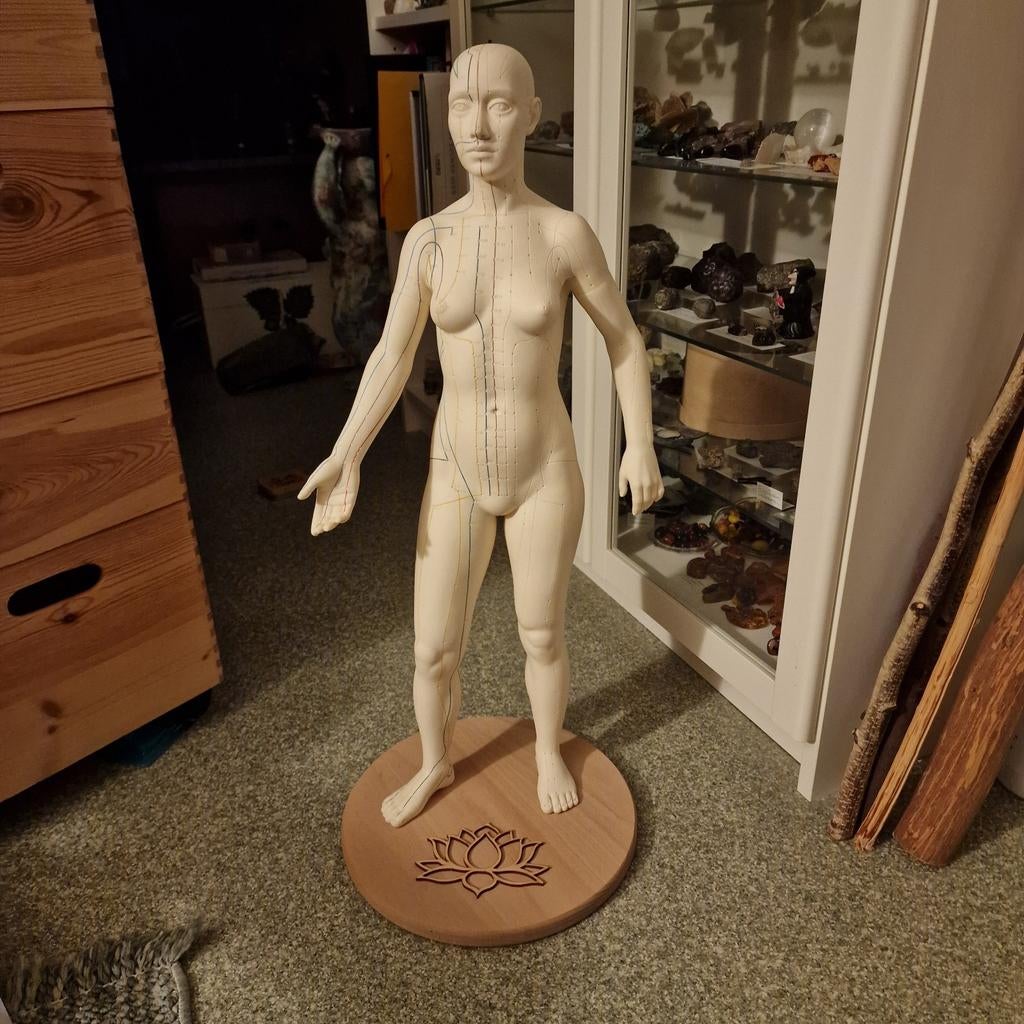 Vrouwelijk acupuntuurmodel en 21 boeken Chinese en Tibetaans, Ophalen of Verzenden