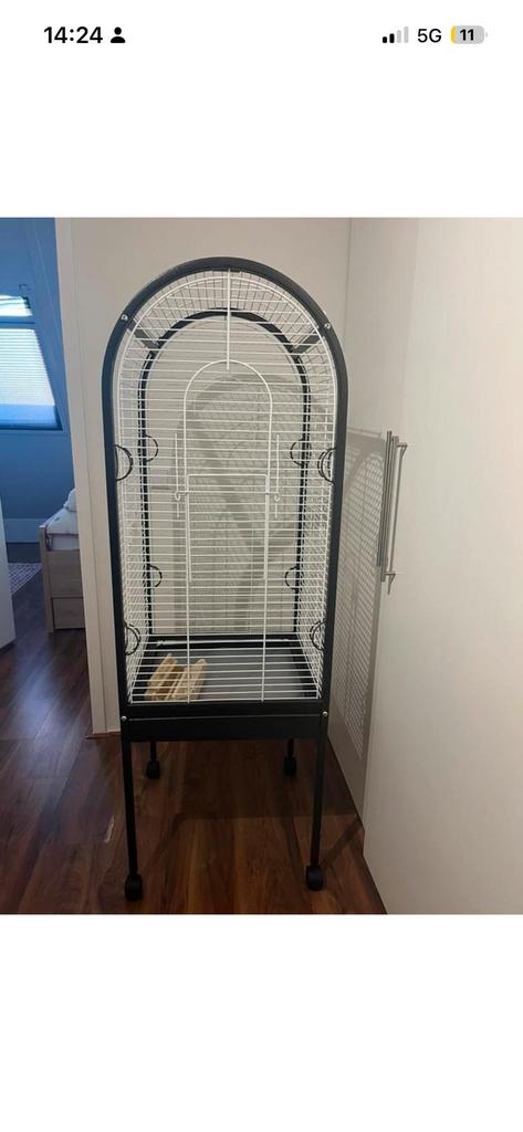 Papegaai kooi, Dieren en Toebehoren, Vogels | Hokken en Kooien, Ophalen of Verzenden, Zo goed als nieuw, Metaal, Vogelkooi