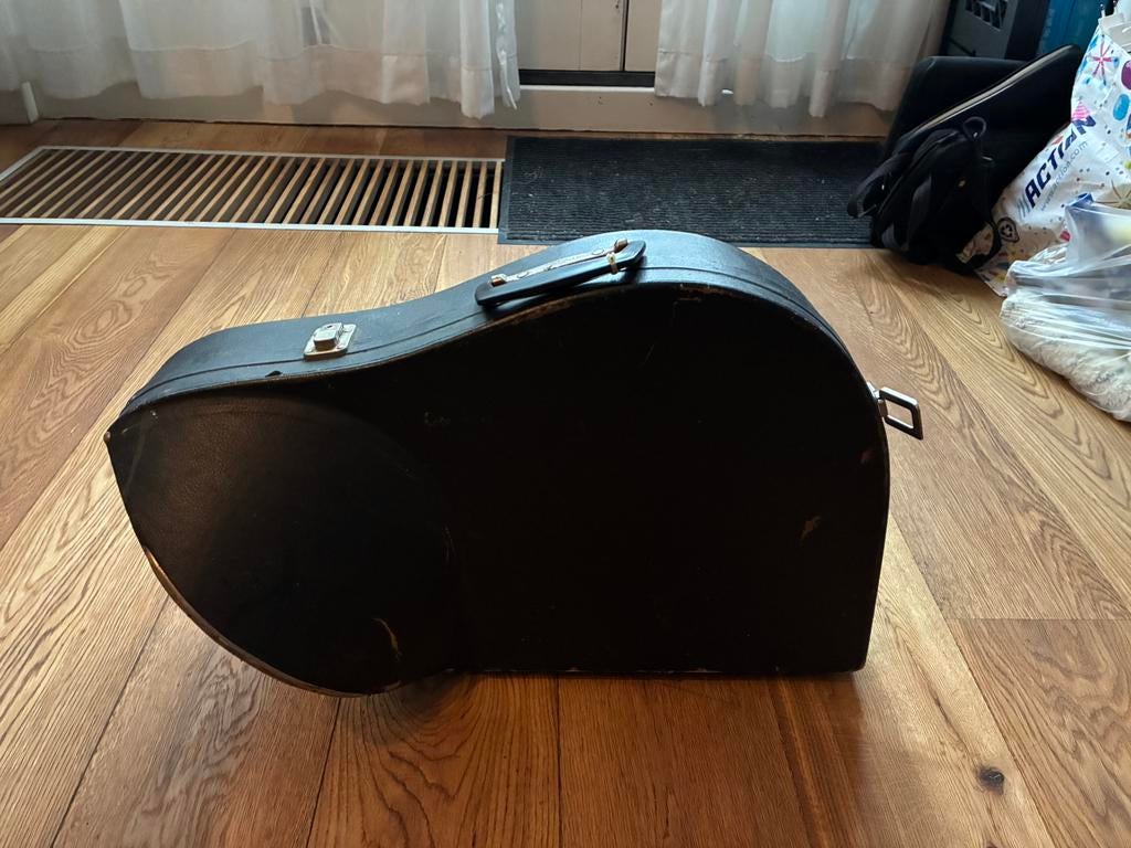 Koffer voor hoorn - blauwe bekleding, Muziek en Instrumenten, Behuizingen en Koffers, Ophalen, Gebruikt, Hoorn