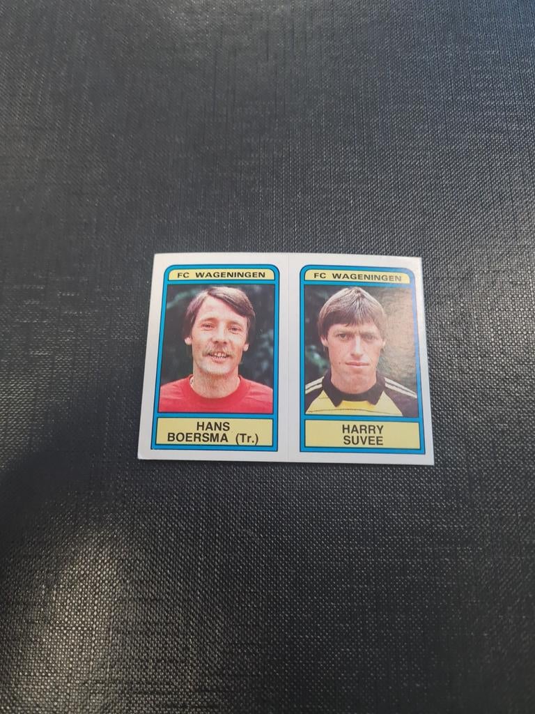 Panini Voetbal 84 sticker FC Wageningen, Verzamelen, Ophalen of Verzenden