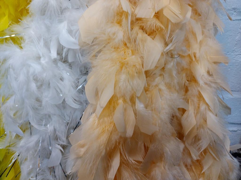 Diverse boa’s , Ophalen of Verzenden, Nieuw, Carnaval, Accessoires