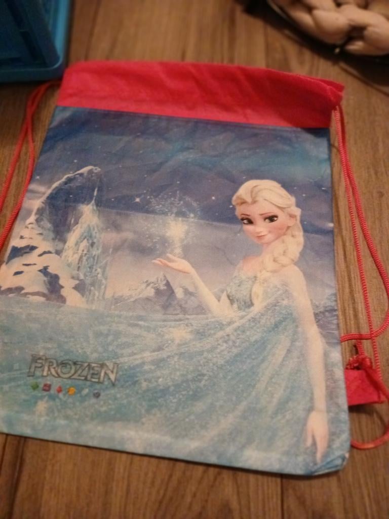 Frozen tas, Caravans en Kamperen, Slaapzakken, Ophalen of Verzenden, Nieuw