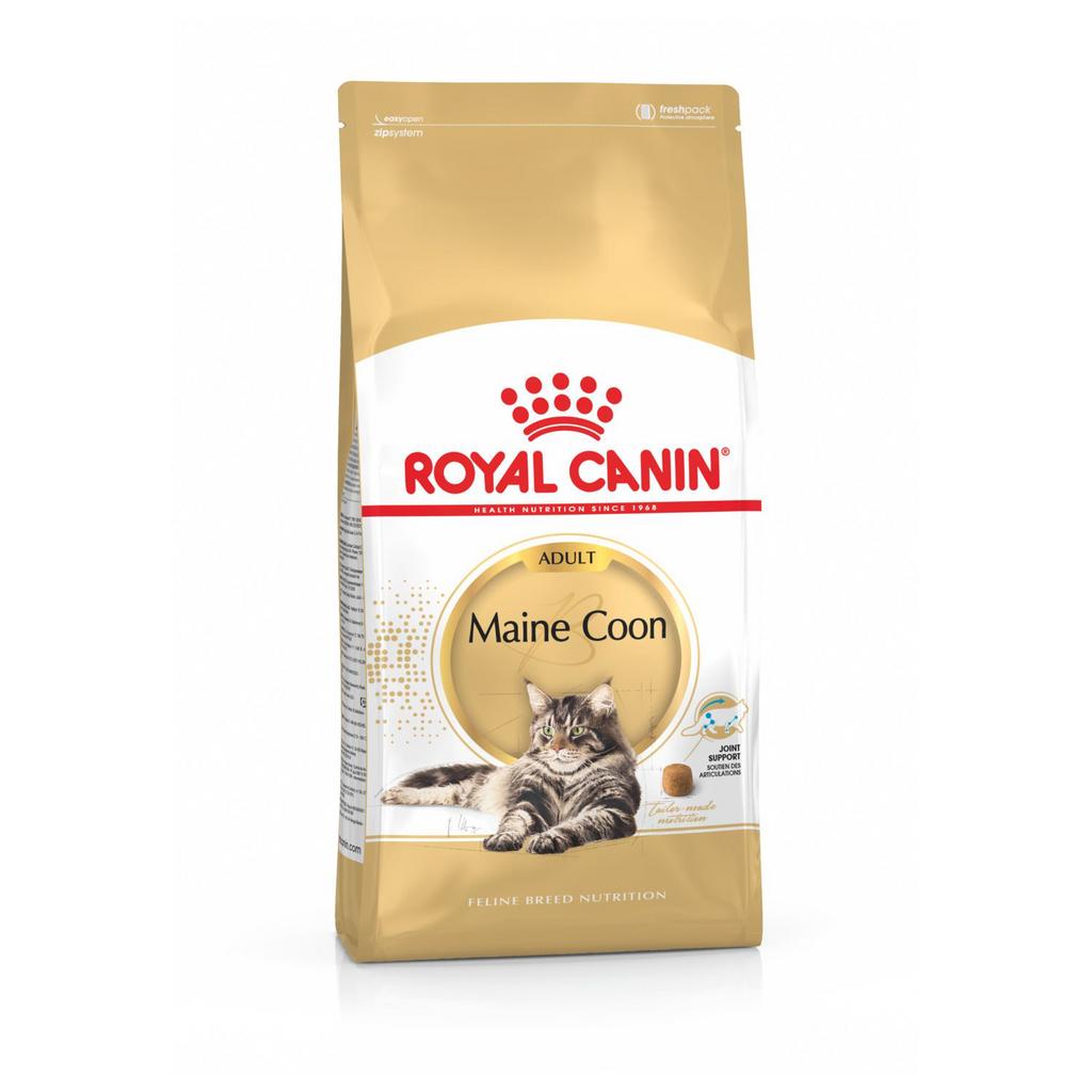 Royal Canin Maine Coon Adult 13 kg bonusbag, Ophalen of Verzenden, Kat