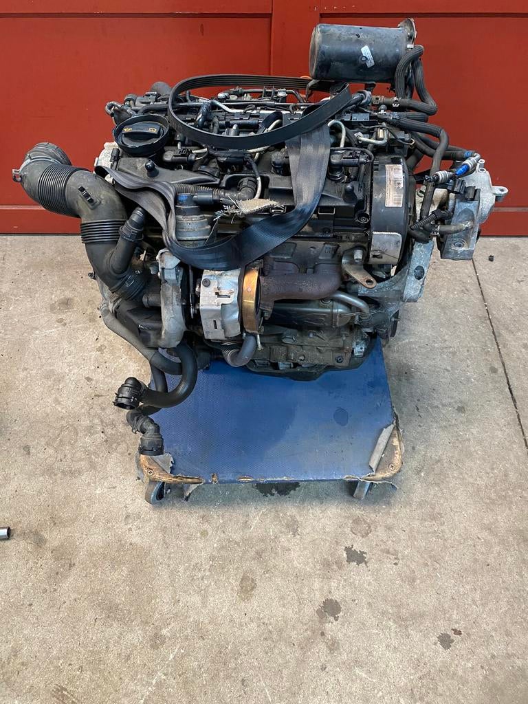 Motor vw 1.6 TDI bj 2009 258608 km motorcode CAYC, Ophalen, Gebruikt, Seat