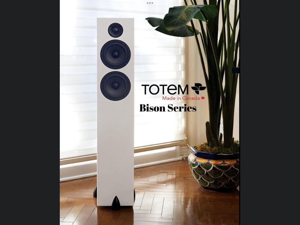 Totem Bison Twin Tower, Overige merken, Nieuw, Ophalen of Verzenden, 120 watt of meer