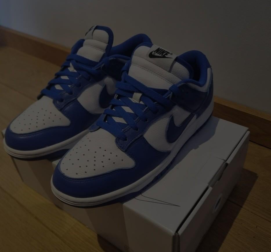 Nike dunk low, Ophalen of Verzenden, Nieuw, Blauw