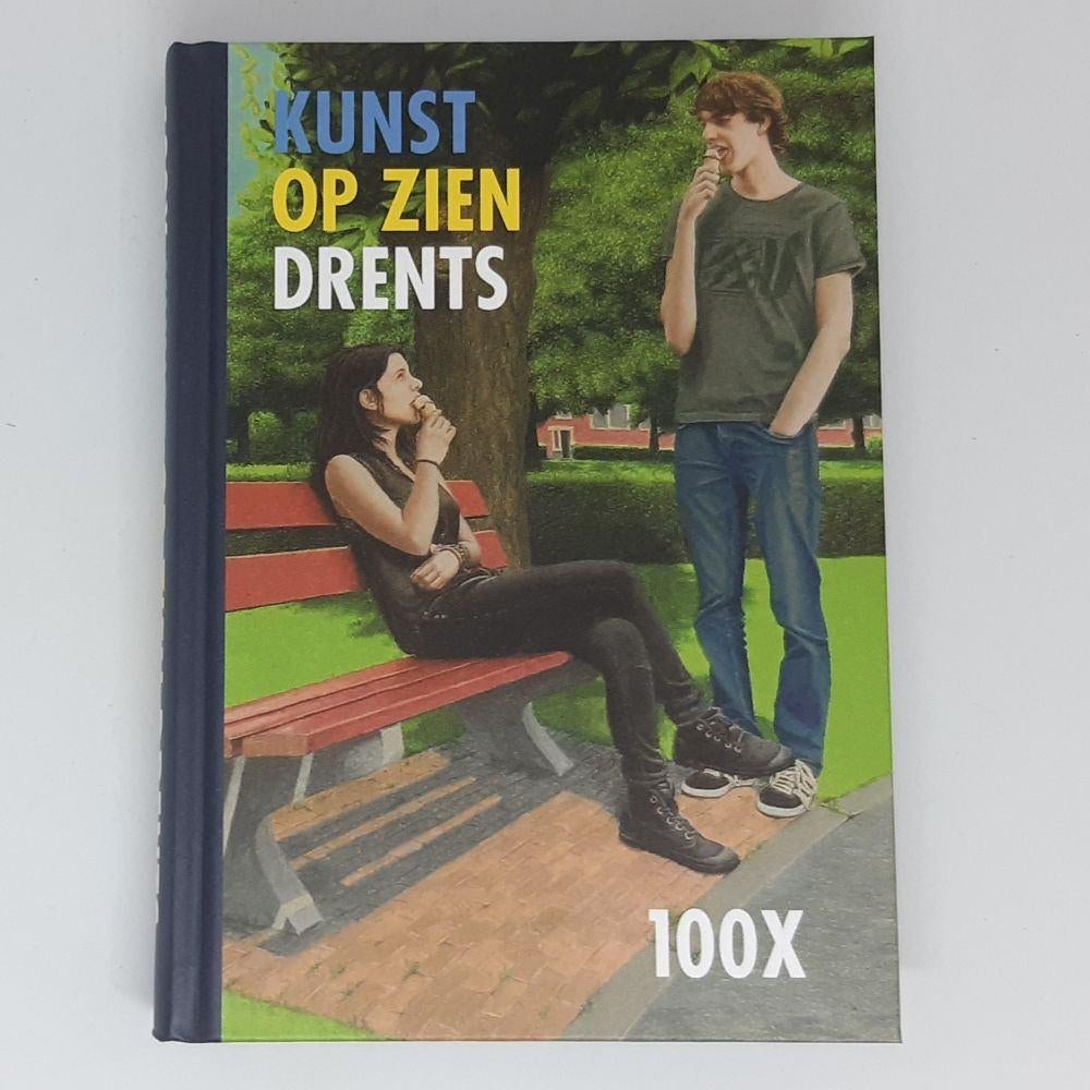 100x Kunst op zien Drents   kunstwerken Drents museum+taal, Verzenden, Nieuw